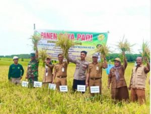 Warga Desa Sumber Baru Angsana Panen Raya Padi IPDMIP