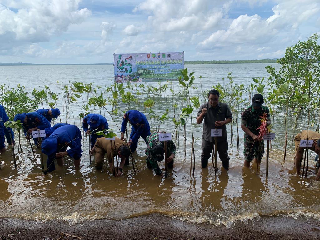 Menghijaukan Pulau Burung: Kodim 1022 Tanbu Melaksanakan Penanaman Mangrove