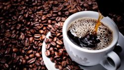Mengungkap Sejarah Panjang dan Aromatik Kopi