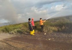 Sinergi Petugas Gabungan Padamkan Karhutla di Kusan Tengah : Upaya Selama Tujuh Jam