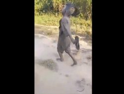 Video Viral Anak Kecil Diberi Miras oleh Teman Sebaya