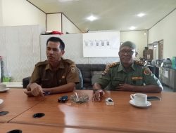 Polhut KPH Kusan Sukses Amankan Puluhan Kubik Kayu Olahan Diduga Hasil Pembalakan Liar