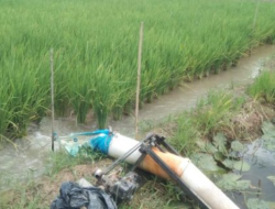 DKPP Tanbu Gencar Melakukan Pengairan Sawah untuk Atasi Kekeringan