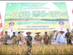 Bupati Tanah Bumbu Hadiri Panen Raya Padi di Desa Salimuran