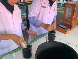 Trio Siswi SMK Muhammadiyah Kusan Hilir Ciptakan Inovasi Filter Air Menggunakan Bonggol Pisang, Diundang Presentasi ke Bogor