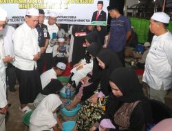 Simbol Kesuksesan: Bupati Tanbu Zairullah Azhar Luncurkan Gerakan Massal Cuci Kaki Ibu di Satui