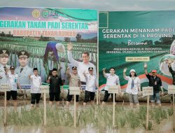 Tanam Padi Serentak Bersama Presiden, Kegiatan di Kalsel Dipusatkan di Tanbu dan Dipimpin Bupati Andi Rudi Latif