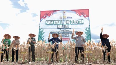 Bupati Andi Rudi Latif pimpin panen raya jagung serentak nasional di Tanah Bumbu, dukung swasembada pangan Indonesia.