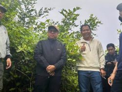 Dukung Ketahanan Pangan, Bupati Kotabaru Tinjau Kawasan Budidaya Udang di Sungai Limau