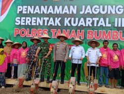 Tanah Bumbu Genjot Produksi Pangan Lewat Tanam Jagung Serentak di Kuartal III