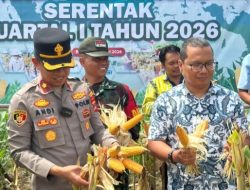 Wakapolres Kotabaru Hadiri Panen Raya Jagung di Pulau Laut Tengah