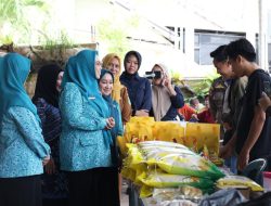 Ketua TP PKK Tanah Bumbu Buka Pasar Murah Ramadan di Simpang Empat, Bantu Warga Dapat Sembako Terjangkau