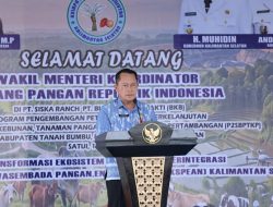 Wamenko Pangan RI Tinjau KSPEAN di Tanah Bumbu, Pemkab Dukung Integrasi Sapi-Sawit