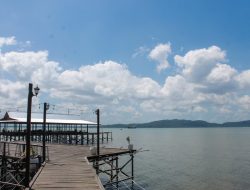 Bupati Andi Rudi Latif Dorong Wisata Mangrove Kersik Putih Jadi Ikon Wisata Tanah Bumbu